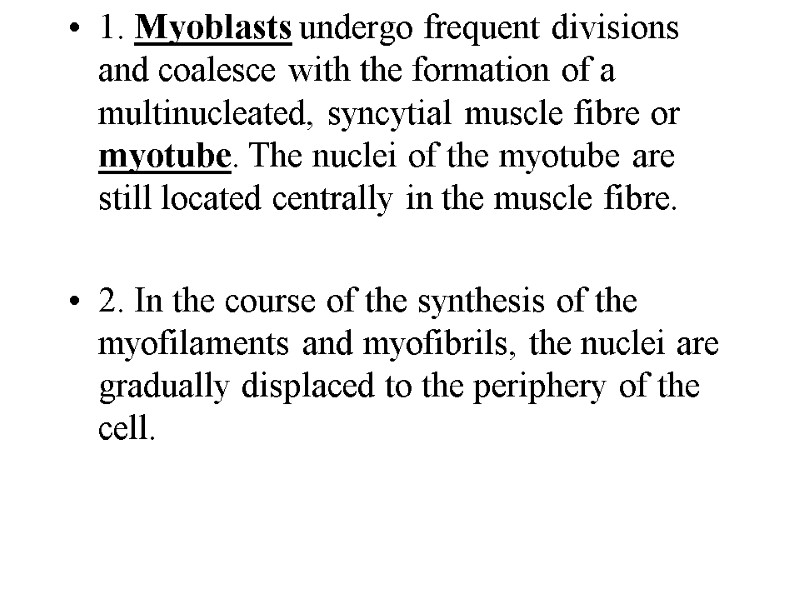 1. Myoblasts undergo frequent divisions and coalesce with the formation of a multinucleated, syncytial 1. Myoblasts undergo frequent divisions and coalesce with the formation of a multinucleated, syncytial